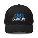Cardiac Cats Hat