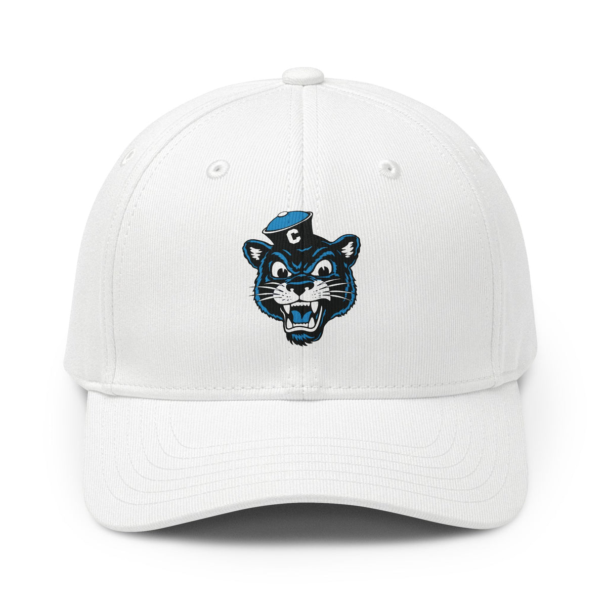 Collegiate Cat Hat