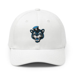 Collegiate Cat Hat