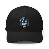 Collegiate Cat Hat