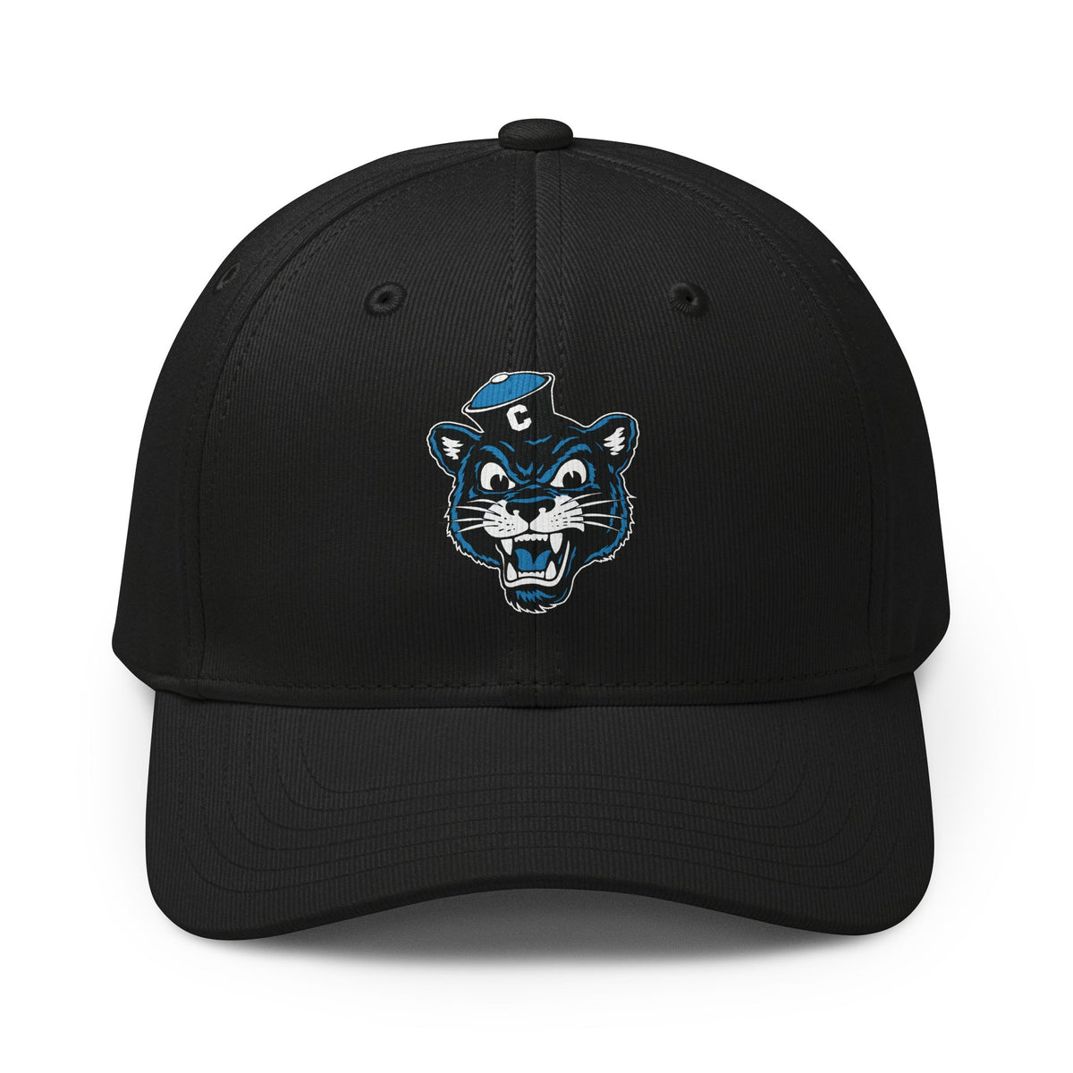 Collegiate Cat Hat