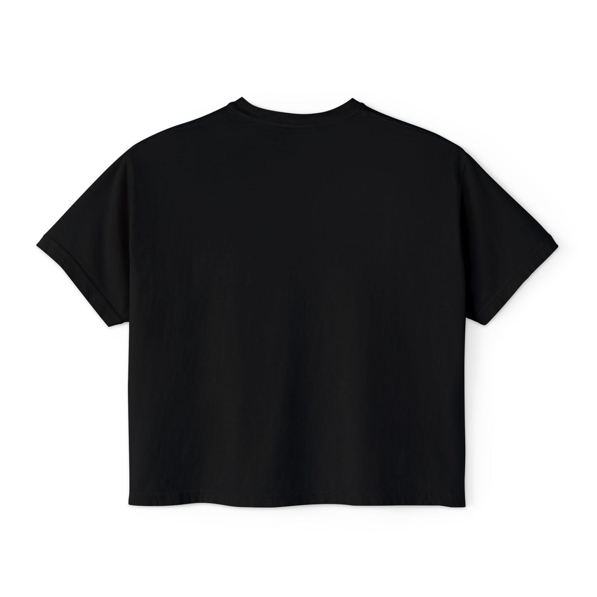 Two States One Speed Boxy Women's Tee