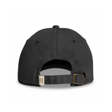 Protect the Bank Hat