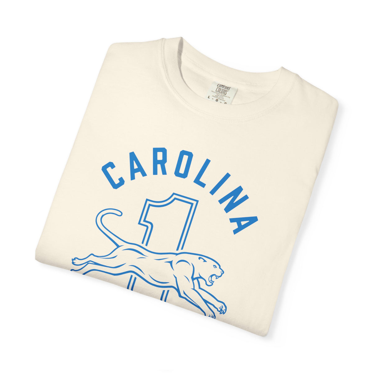 NFC South Champs T-Shirt