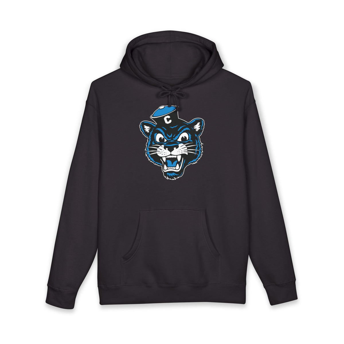 Collegiate Cat Hoodie