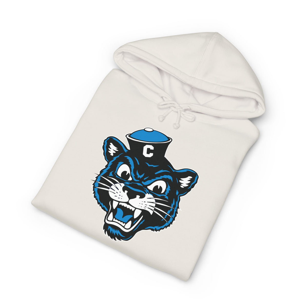 Collegiate Cat Hoodie