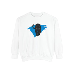 Carolina Silhouette Heavyweight Sweatshirt