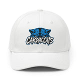 Cardiac Cats Hat